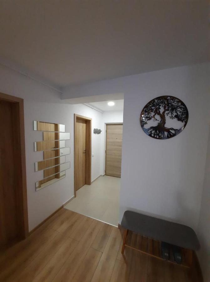Sorin'S Comfortable Apartment Brassó Kültér fotó